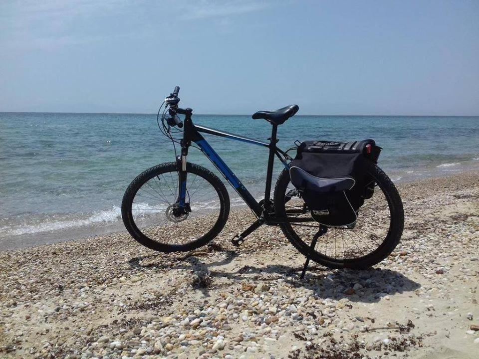Zoi Apartments Paralia Dionysiou Esterno foto