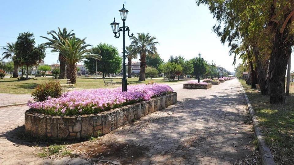 Zoi Apartments Paralia Dionysiou Esterno foto
